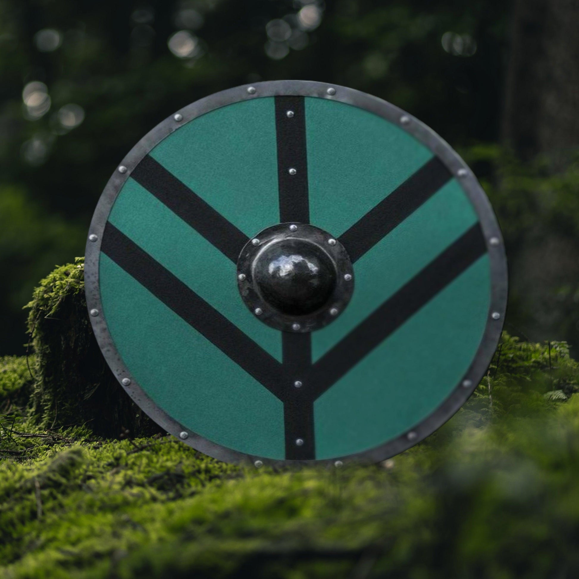 Shieldmaiden Smooth Viking Shield - collectiblegiftitems